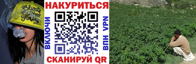 Бошки Шишки индика  Алдан 